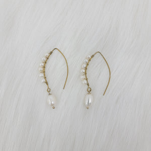 Fresh Water Pearl Wrapped Over Brass Hooks Earrings